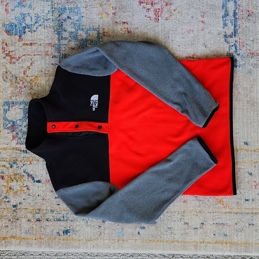 The North Face Colorblock Fleece